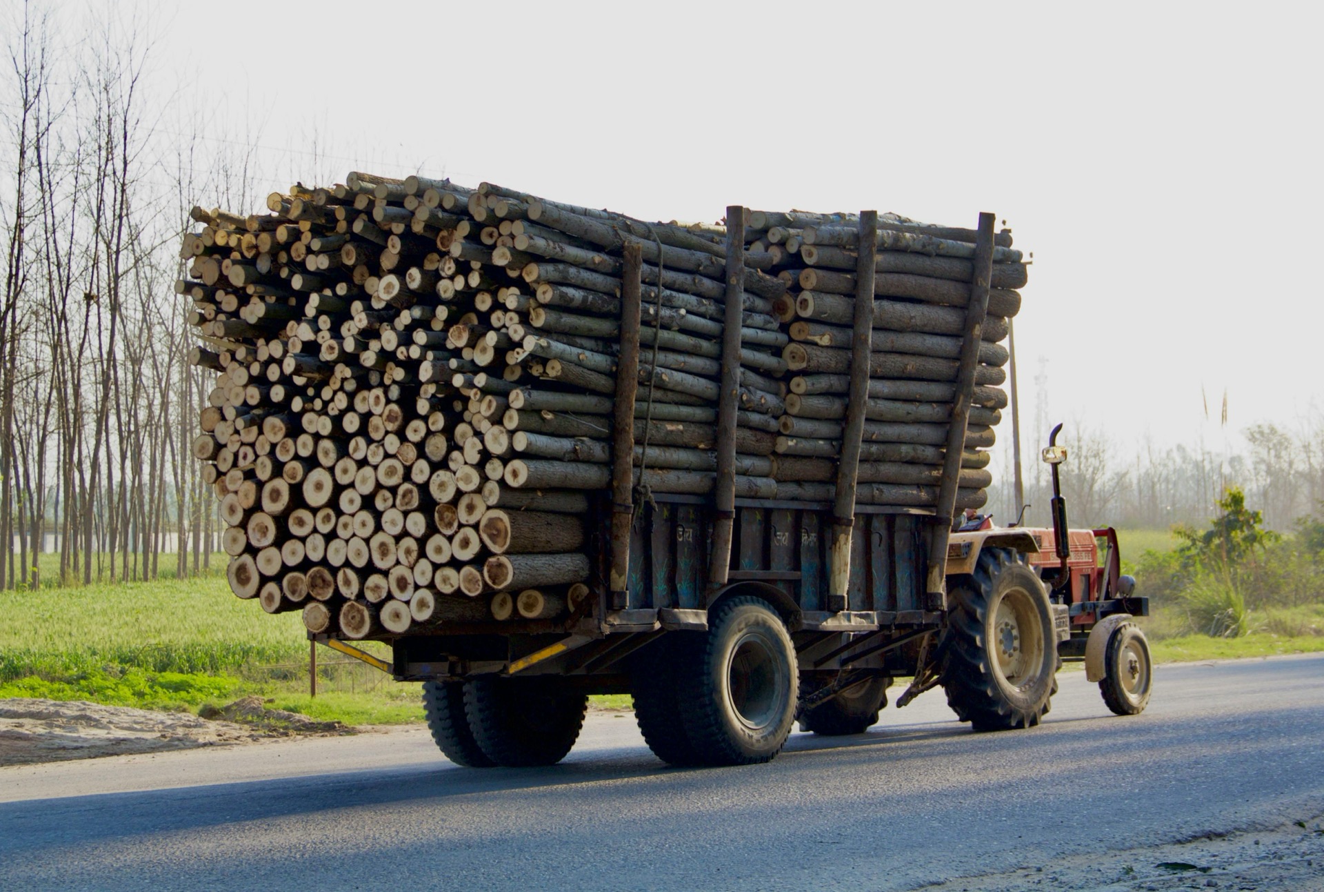 Forestal